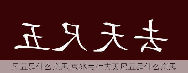 尺五是什么意思,京兆韦杜去天尺五是什么意思