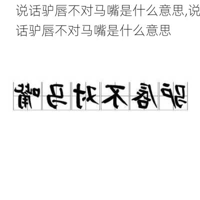 说话驴唇不对马嘴是什么意思,说话驴唇不对马嘴是什么意思