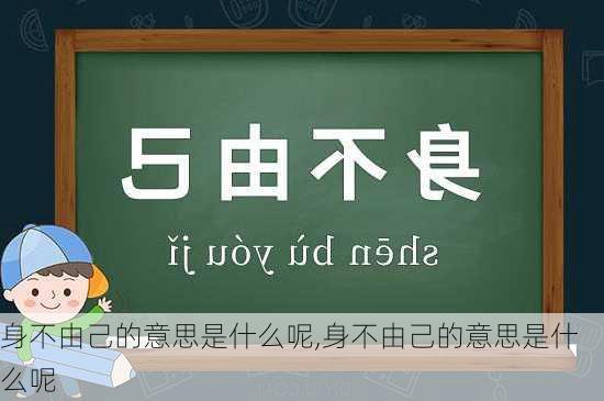 身不由己的意思是什么呢,身不由己的意思是什么呢