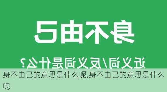 身不由己的意思是什么呢,身不由己的意思是什么呢