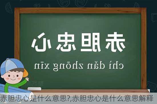 赤胆忠心是什么意思?,赤胆忠心是什么意思解释