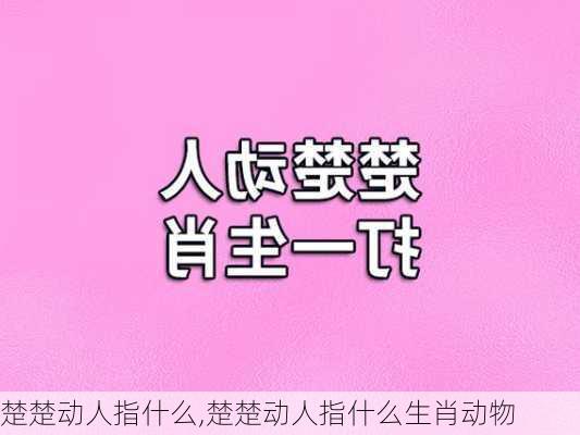 楚楚动人指什么,楚楚动人指什么生肖动物