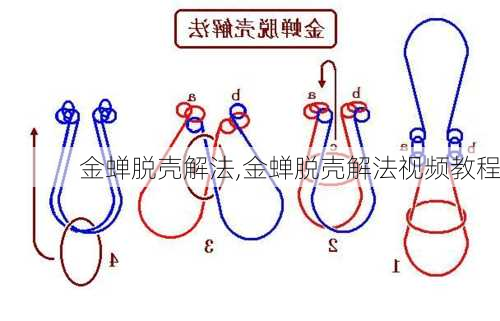 金蝉脱壳解法,金蝉脱壳解法视频教程