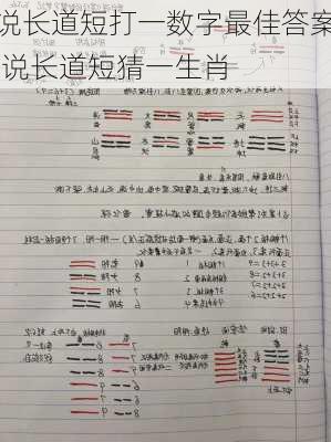 说长道短打一数字最佳答案,说长道短猜一生肖