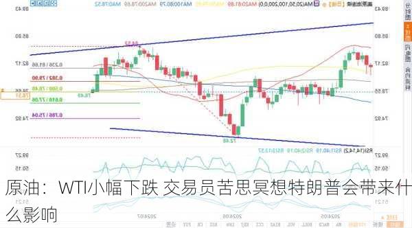 原油：WTI小幅下跌 交易员苦思冥想特朗普会带来什么影响