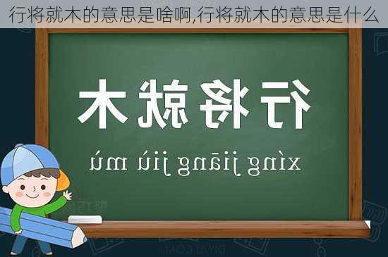 行将就木的意思是啥啊,行将就木的意思是什么