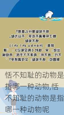 恬不知耻的动物是指哪一种动物,恬不知耻的动物是指哪一种动物呢