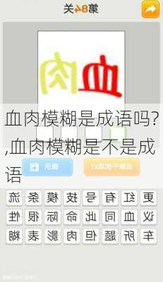 血肉模糊是成语吗?,血肉模糊是不是成语