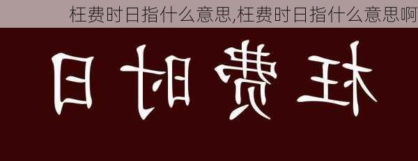 枉费时日指什么意思,枉费时日指什么意思啊