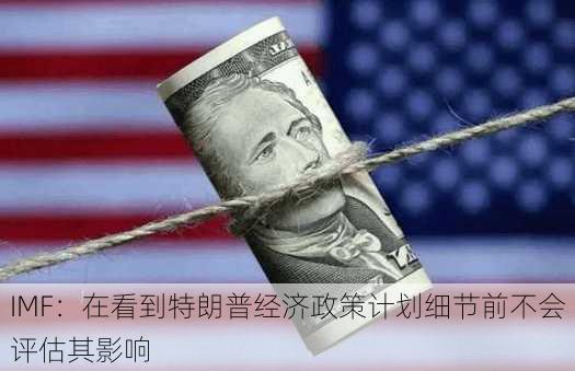 IMF：在看到特朗普经济政策计划细节前不会评估其影响