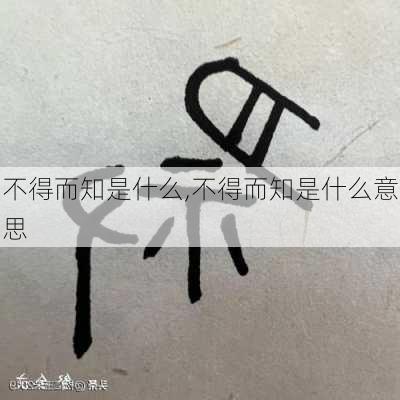 不得而知是什么,不得而知是什么意思