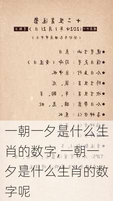 一朝一夕是什么生肖的数字,一朝一夕是什么生肖的数字呢