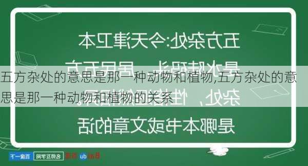 五方杂处的意思是那一种动物和植物,五方杂处的意思是那一种动物和植物的关系