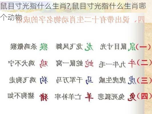 鼠目寸光指什么生肖?,鼠目寸光指什么生肖哪个动物