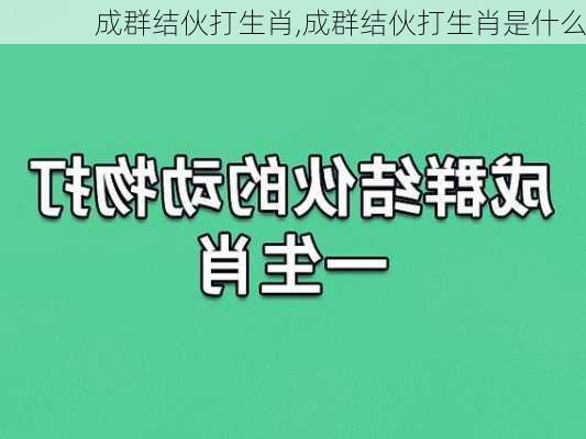 成群结伙打生肖,成群结伙打生肖是什么