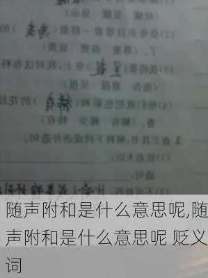 随声附和是什么意思呢,随声附和是什么意思呢 贬义词