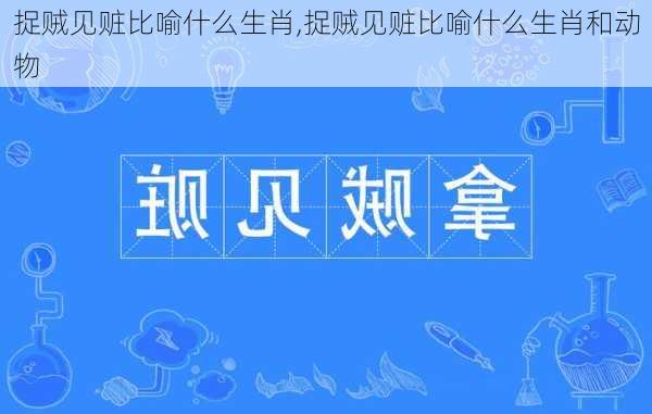 捉贼见赃比喻什么生肖,捉贼见赃比喻什么生肖和动物