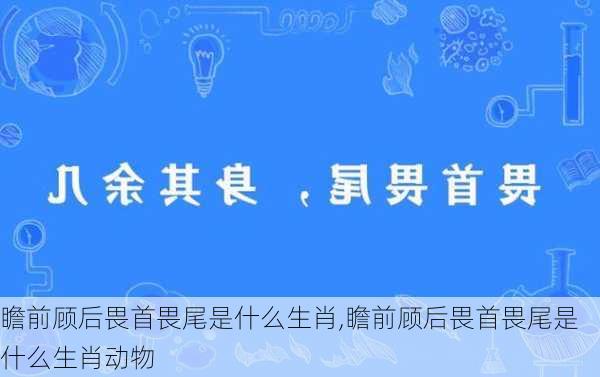 瞻前顾后畏首畏尾是什么生肖,瞻前顾后畏首畏尾是什么生肖动物