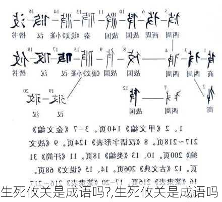 生死攸关是成语吗?,生死攸关是成语吗