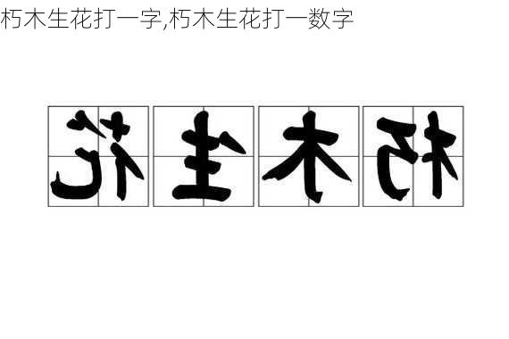 朽木生花打一字,朽木生花打一数字