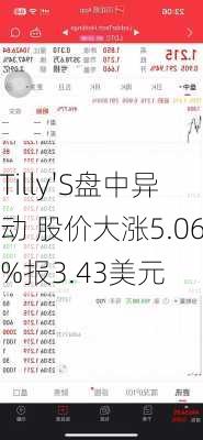 Tilly'S盘中异动 股价大涨5.06%报3.43美元