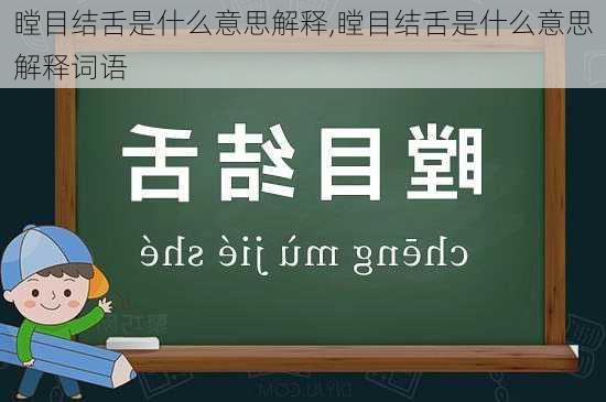 瞠目结舌是什么意思解释,瞠目结舌是什么意思解释词语