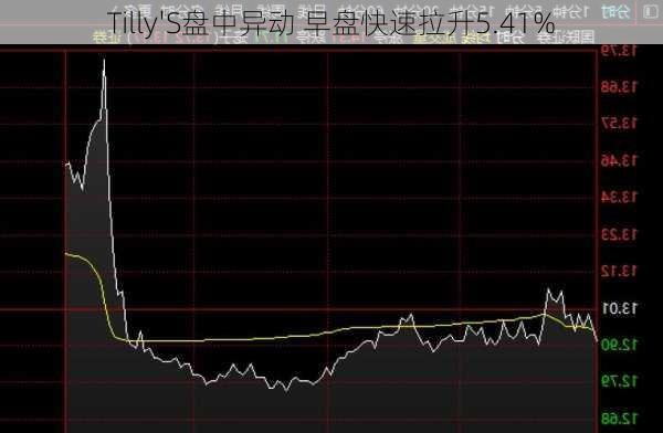 Tilly'S盘中异动 早盘快速拉升5.41%