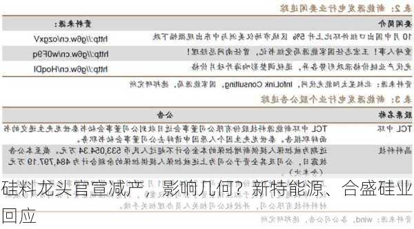 硅料龙头官宣减产，影响几何？新特能源、合盛硅业回应