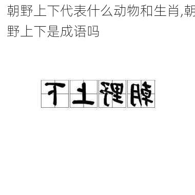 朝野上下代表什么动物和生肖,朝野上下是成语吗