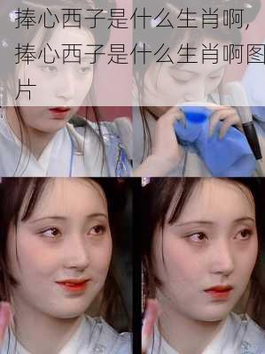 捧心西子是什么生肖啊,捧心西子是什么生肖啊图片