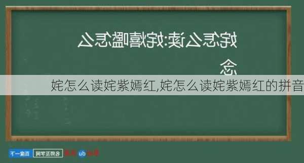 姹怎么读姹紫嫣红,姹怎么读姹紫嫣红的拼音