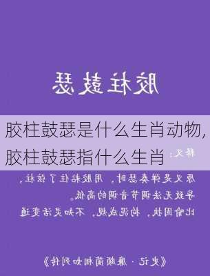 胶柱鼓瑟是什么生肖动物,胶柱鼓瑟指什么生肖