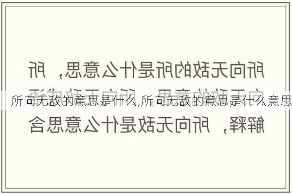 所向无敌的意思是什么,所向无敌的意思是什么意思