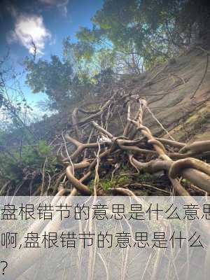 盘根错节的意思是什么意思啊,盘根错节的意思是什么?