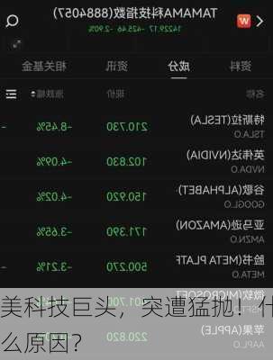 美科技巨头，突遭猛抛！什么原因？