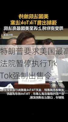 特朗普要求美国最高法院暂停执行TikTok强制出售令