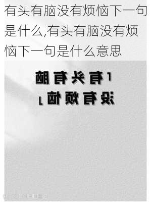 有头有脑没有烦恼下一句是什么,有头有脑没有烦恼下一句是什么意思