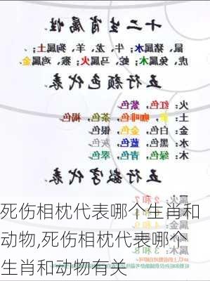 死伤相枕代表哪个生肖和动物,死伤相枕代表哪个生肖和动物有关