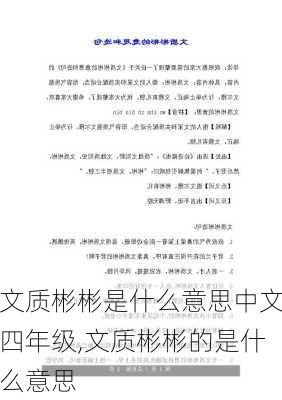 文质彬彬是什么意思中文四年级,文质彬彬的是什么意思