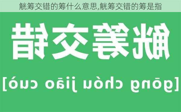 觥筹交错的筹什么意思,觥筹交错的筹是指