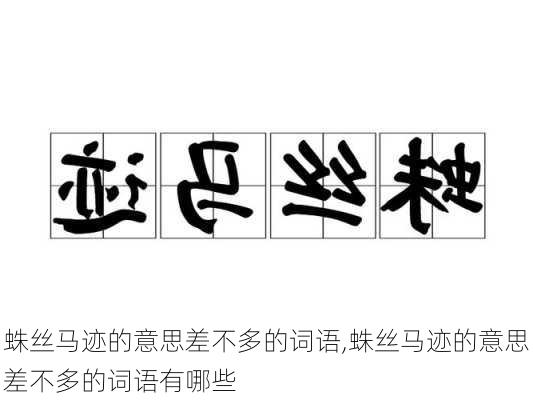 蛛丝马迹的意思差不多的词语,蛛丝马迹的意思差不多的词语有哪些