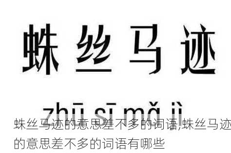 蛛丝马迹的意思差不多的词语,蛛丝马迹的意思差不多的词语有哪些