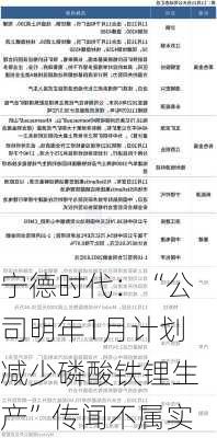 宁德时代：“公司明年1月计划减少磷酸铁锂生产”传闻不属实